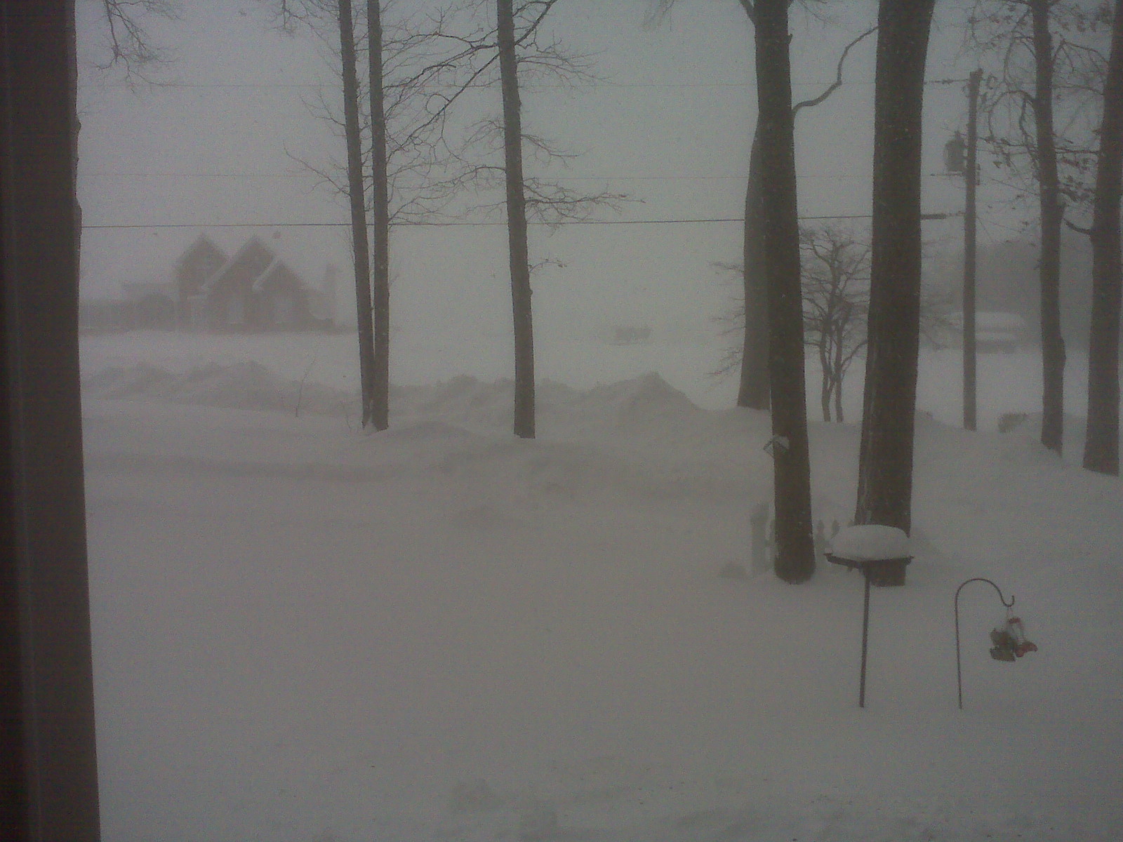 blizzard 10.jpg