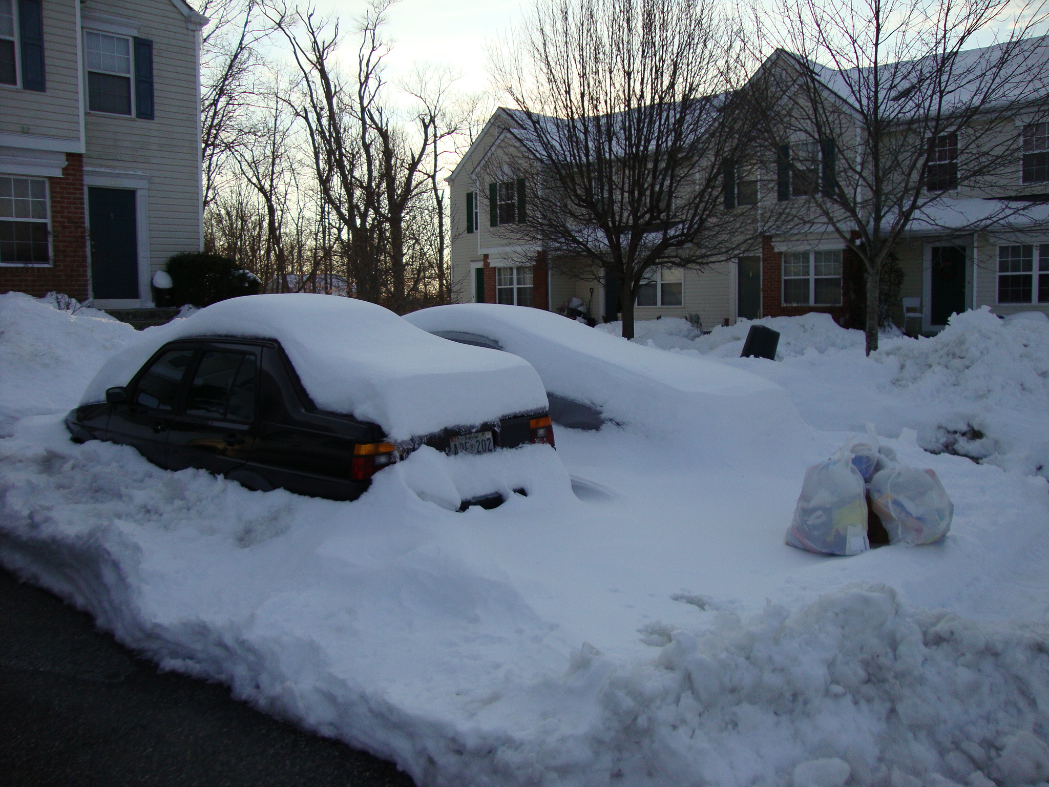 Snow covered Cobra 003.jpg