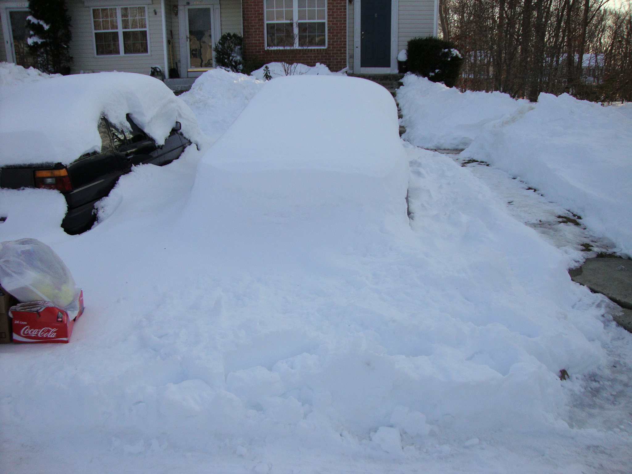 Snow covered Cobra 002.jpg