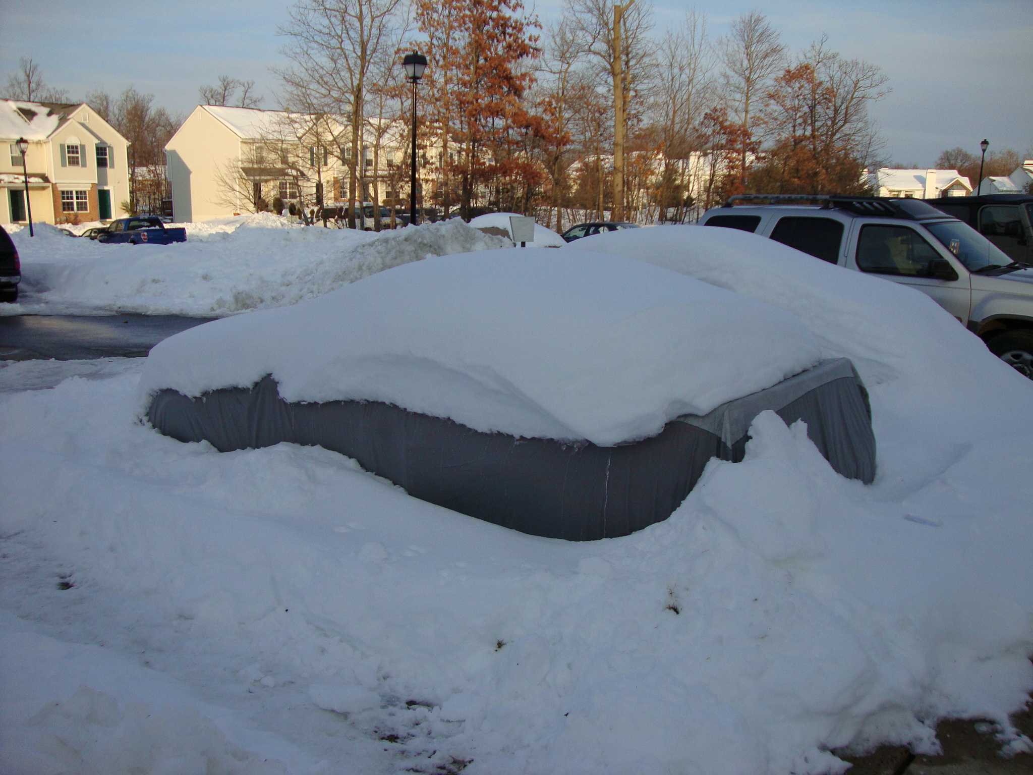 Snow covered Cobra 001.jpg