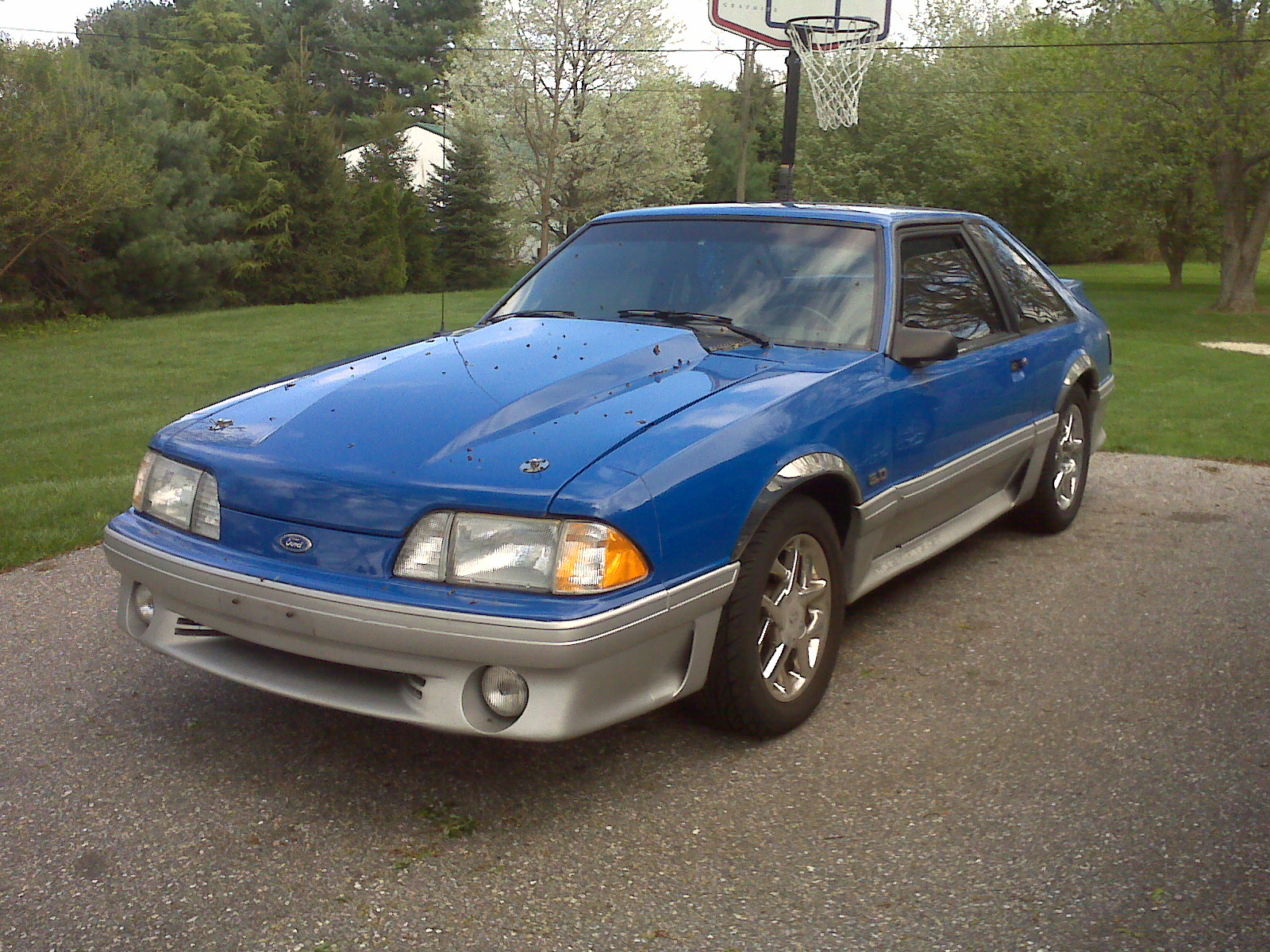 91 stang.jpg