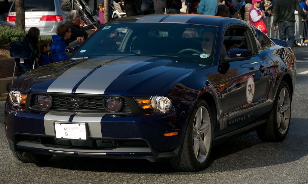 DSC_3204.jpg