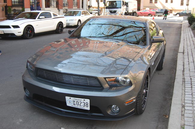 Image295.jpg