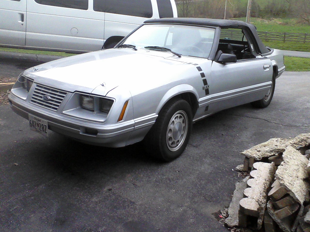 mustang1.jpg