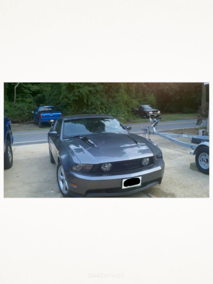2010 GT.jpg