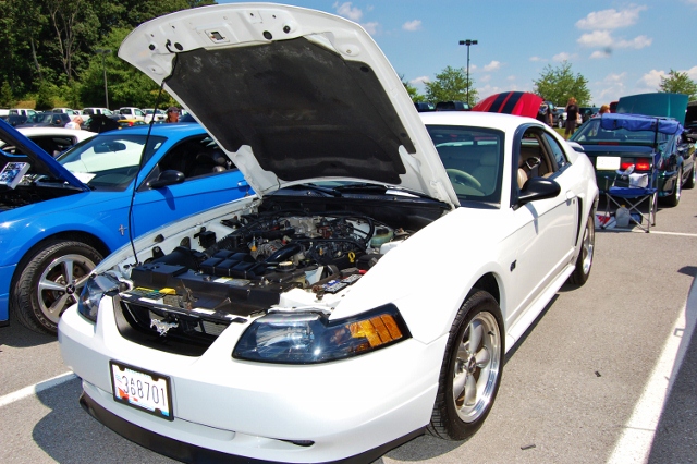 DSC_0372 (640x426).jpg