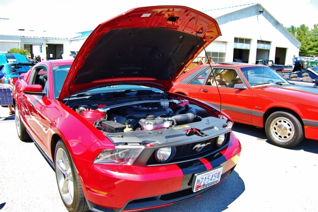 DSC_0380 (640x426).jpg