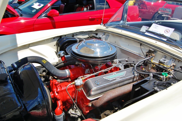 DSC_0398 (640x426).jpg