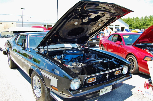 DSC_0414 (640x426).jpg