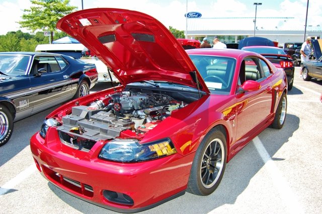 DSC_0412 (640x426).jpg