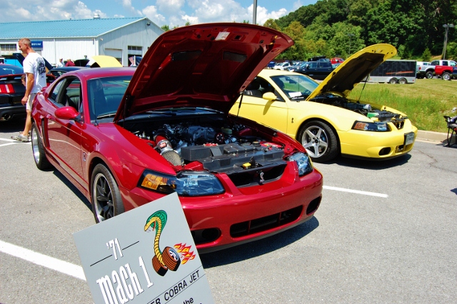 DSC_0415 (640x426).jpg