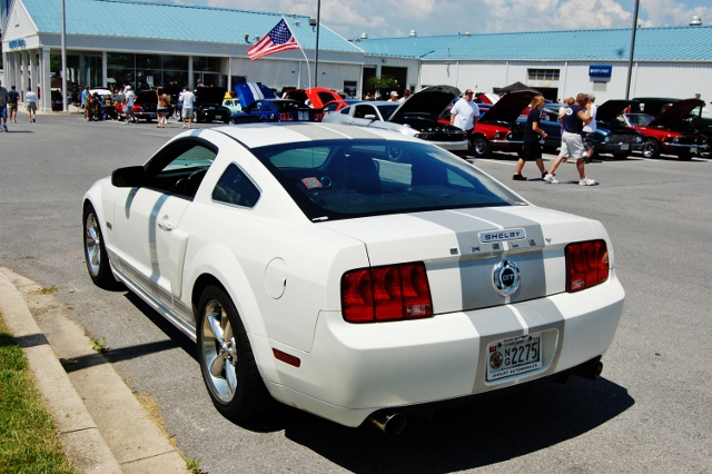 DSC_0422 (640x426).jpg