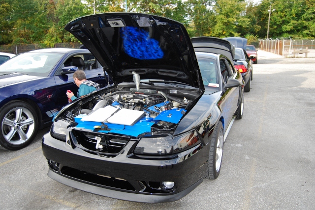 DSC_5272 (640x428).jpg
