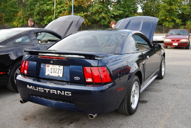 DSC_5277 (640x428).jpg