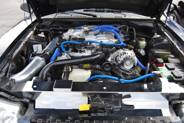 DSC_5281 (640x428).jpg