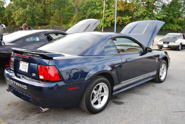 DSC_5279 (640x428).jpg