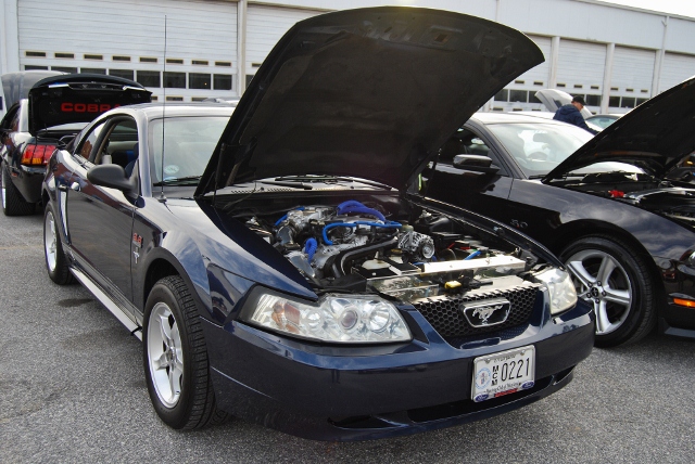 DSC_5282 (640x428).jpg