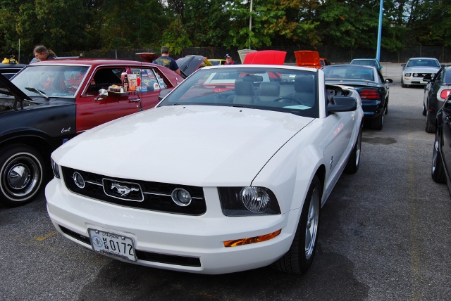 DSC_5294 (640x428).jpg