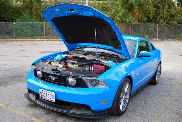 DSC_5308 (640x428).jpg