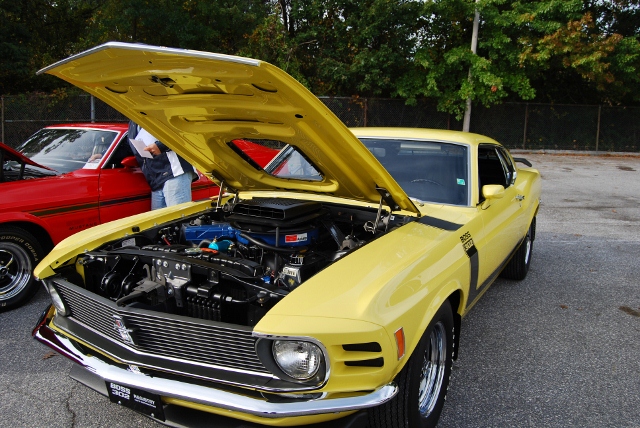 DSC_5331 (640x428).jpg