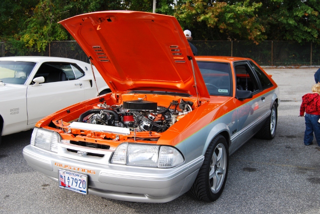DSC_5329 (640x428).jpg