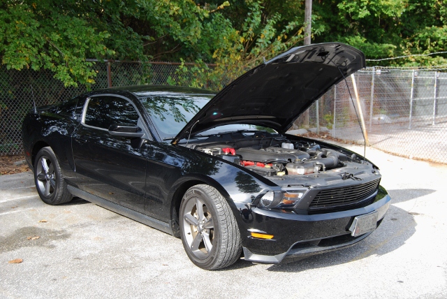 DSC_5348 (640x428).jpg