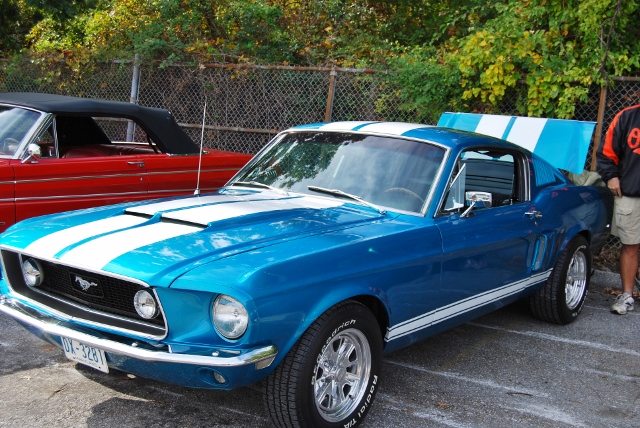 DSC_5371 (640x428).jpg