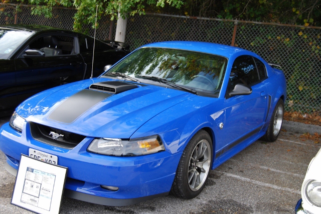 DSC_5369 (640x428).jpg