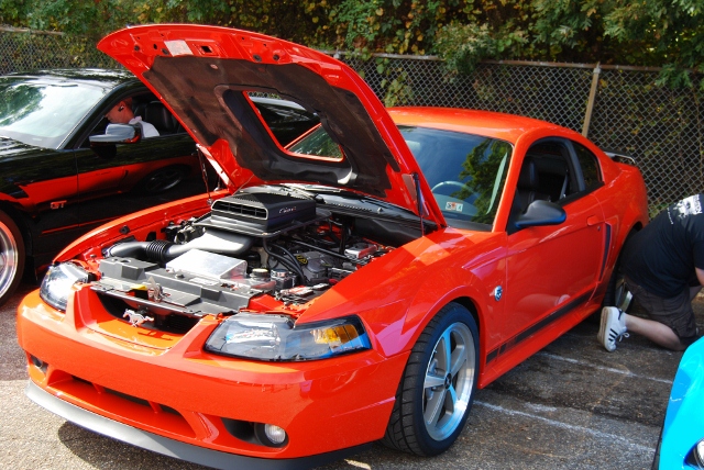DSC_5376 (640x428).jpg