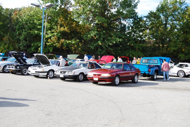 DSC_5385 (640x428).jpg