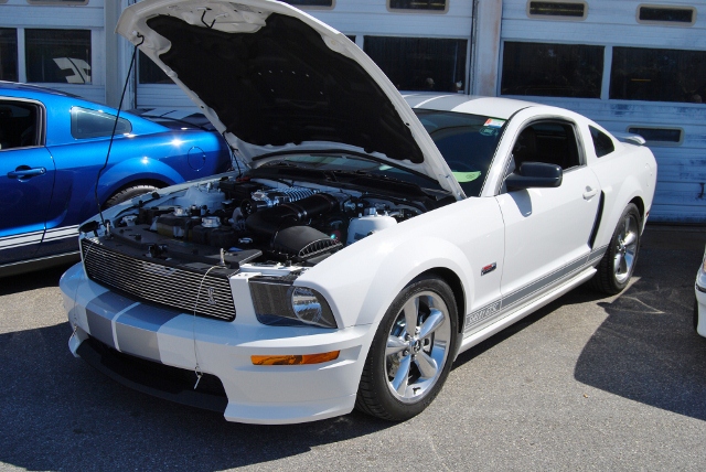 DSC_5431 (640x428).jpg