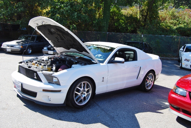 DSC_5439 (640x428).jpg