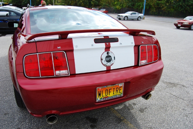 DSC_5503 (640x428).jpg