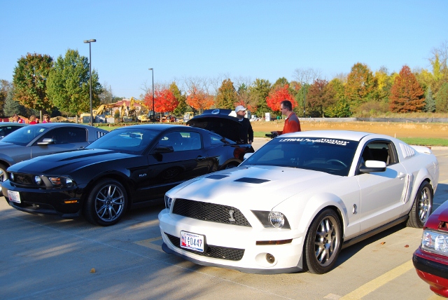 DSC_5849 (640x428).jpg