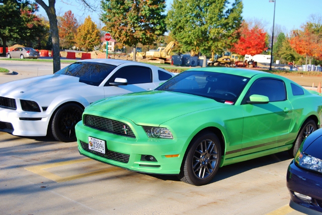 DSC_5860 (640x428).jpg
