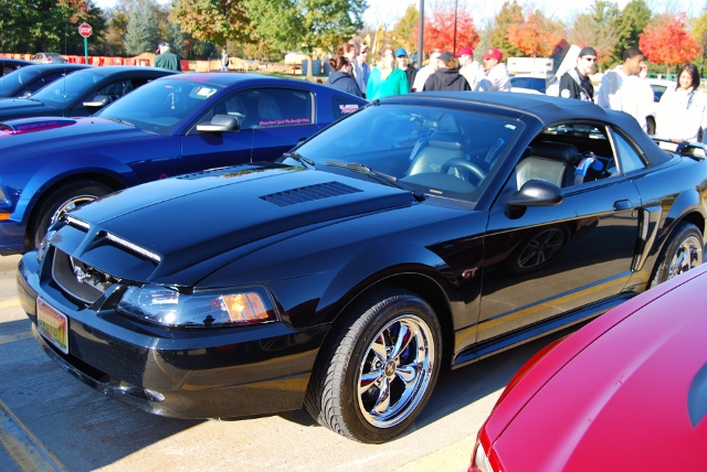 DSC_5868 (640x428).jpg