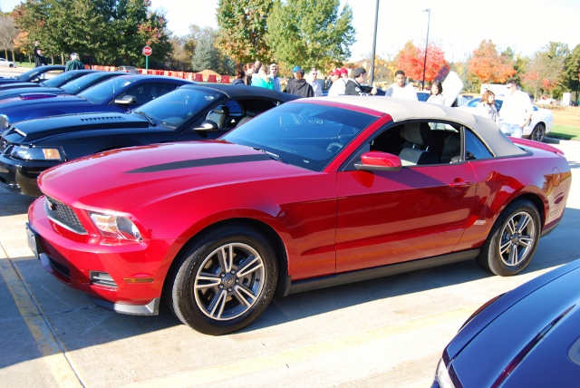 DSC_5867 (640x428).jpg