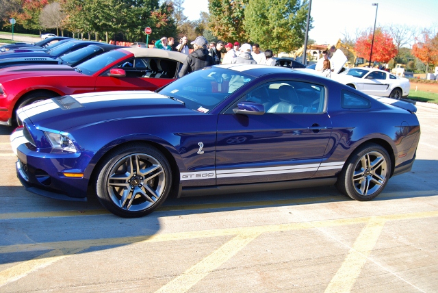 DSC_5866 (640x428).jpg