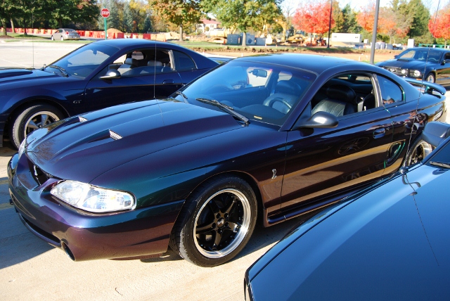 DSC_5872 (640x428).jpg