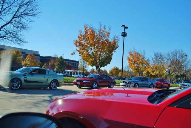 DSC_5880 (640x428).jpg