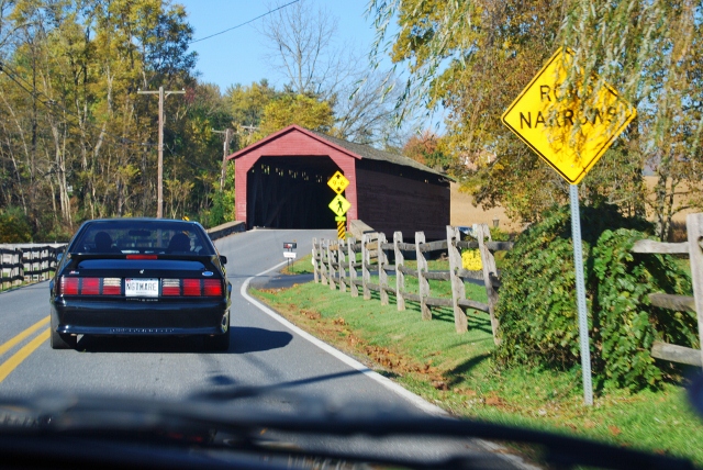 DSC_5881 (640x428).jpg