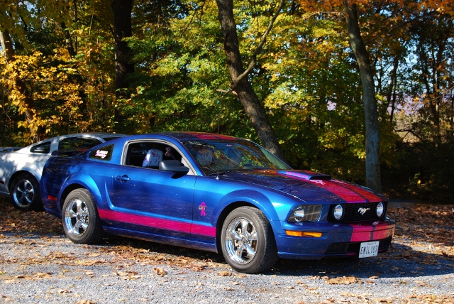 DSC_5900 (640x428).jpg