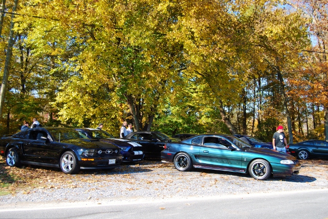 DSC_5902 (640x428).jpg