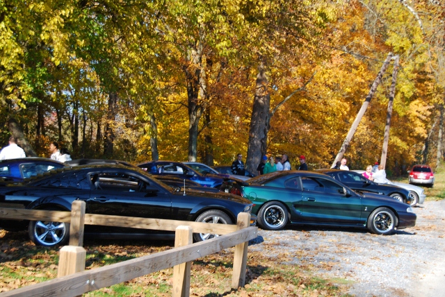 DSC_5916 (640x428).jpg