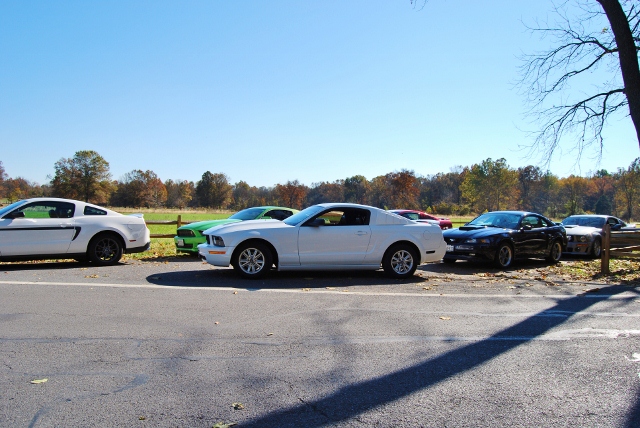 DSC_5914 (640x428).jpg