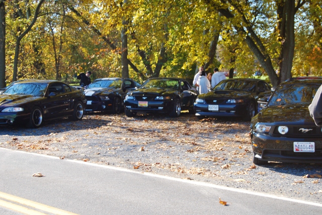 DSC_5919 (640x428).jpg