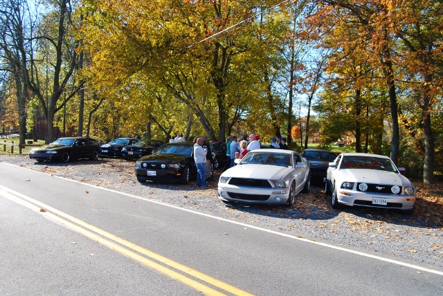 DSC_5917 (640x428).jpg