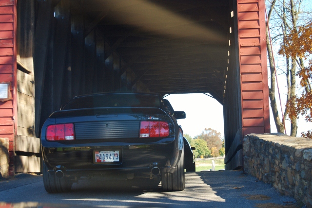 DSC_5920 (640x428).jpg