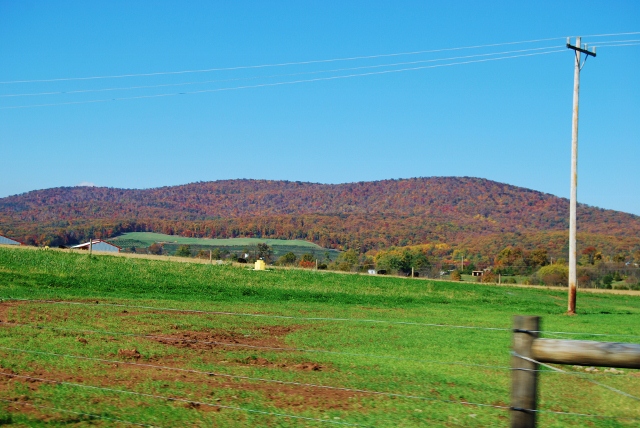 DSC_5931 (640x428).jpg
