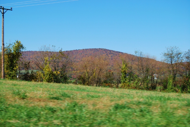 DSC_5929 (640x428).jpg